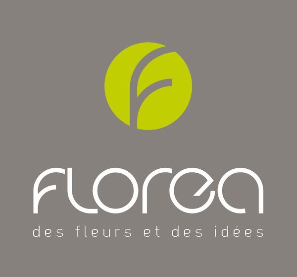 Photo d'illustration 1 sur 29