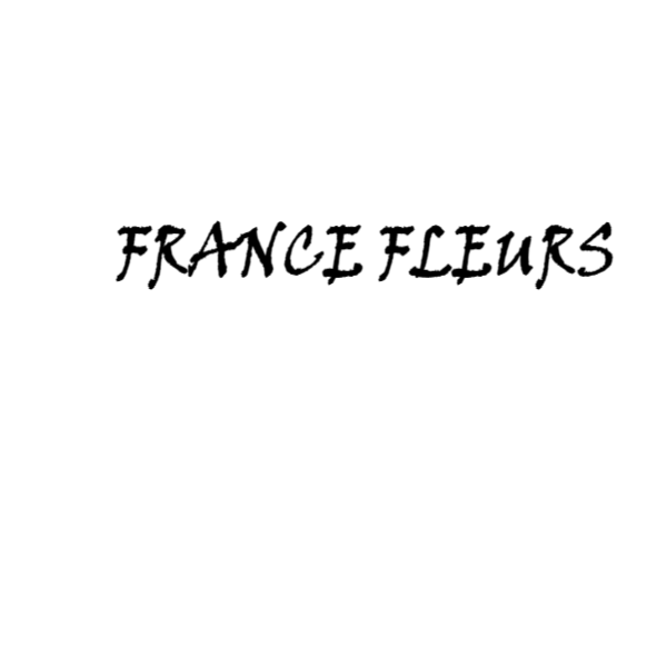 Photo d'illustration 3 sur 4