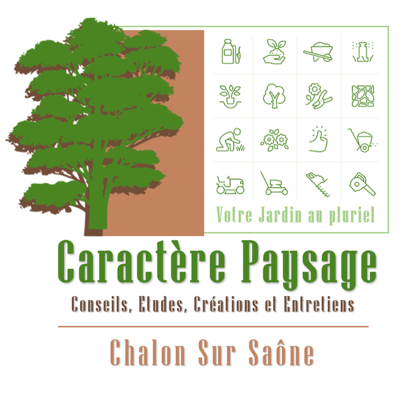 Photo d'illustration 1 sur 1