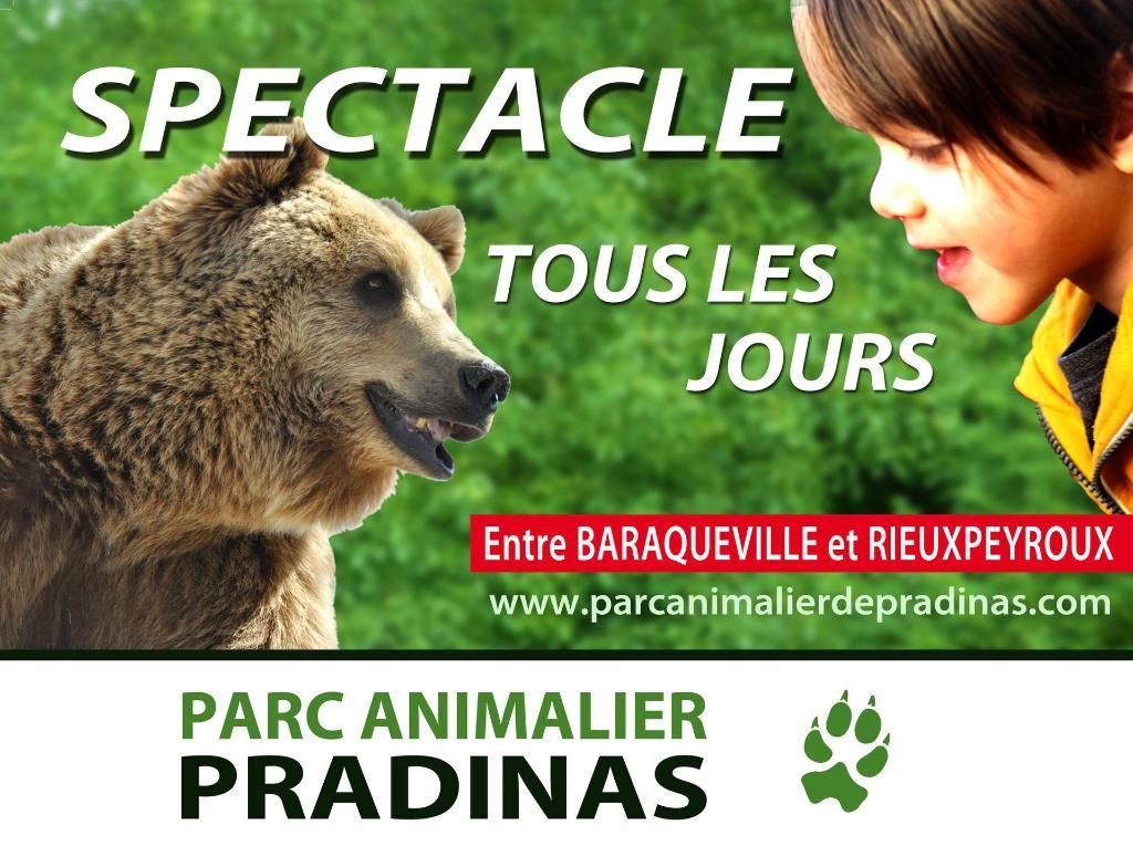 Photo d'illustration 4 sur 15
