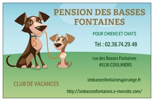 Photo d'illustration 3 sur 12