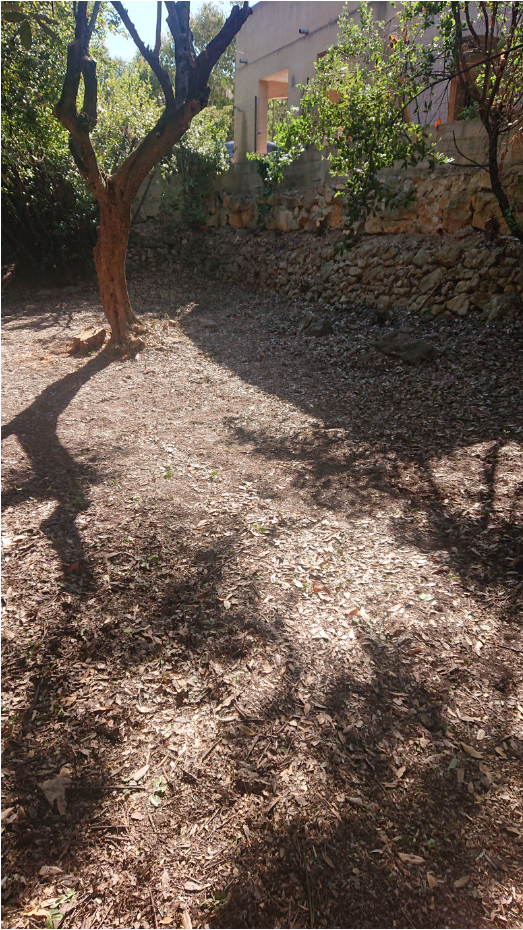 Photo d'illustration 4 sur 8