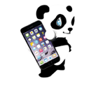 Photo d'illustration 3 sur 14