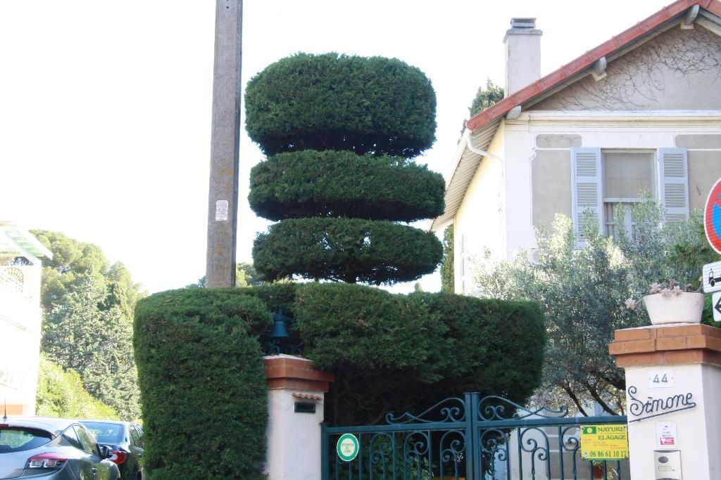 Photo d'illustration 4 sur 12