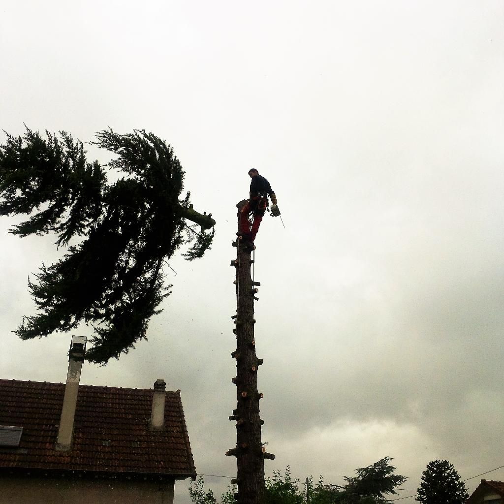 Photo d'illustration 4 sur 8