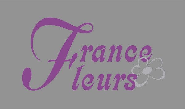 Photo d'illustration 4 sur 13