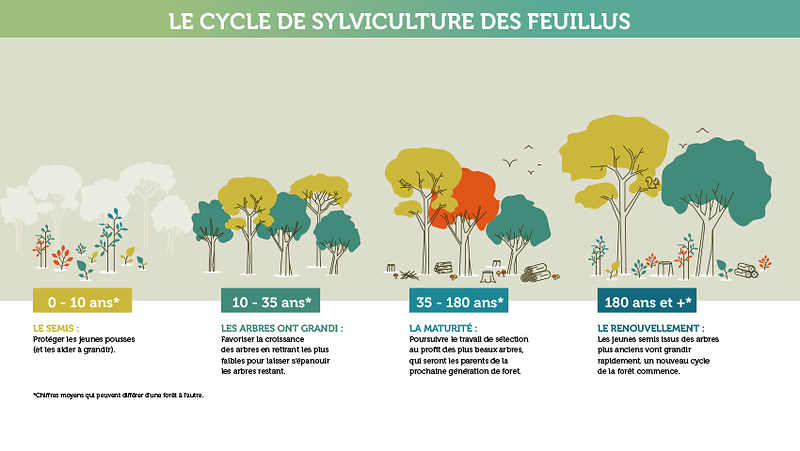 Photo d'illustration 3 sur 7