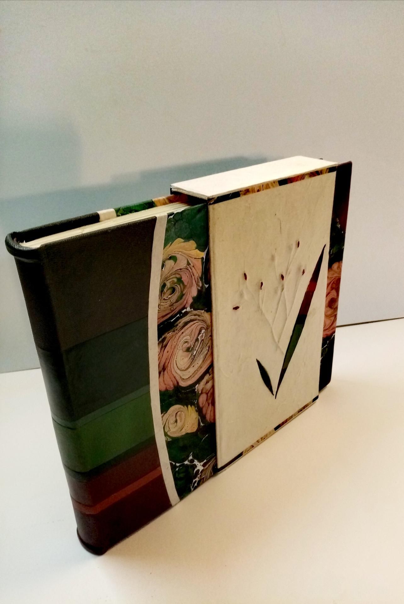 Photo d'illustration 4 sur 10