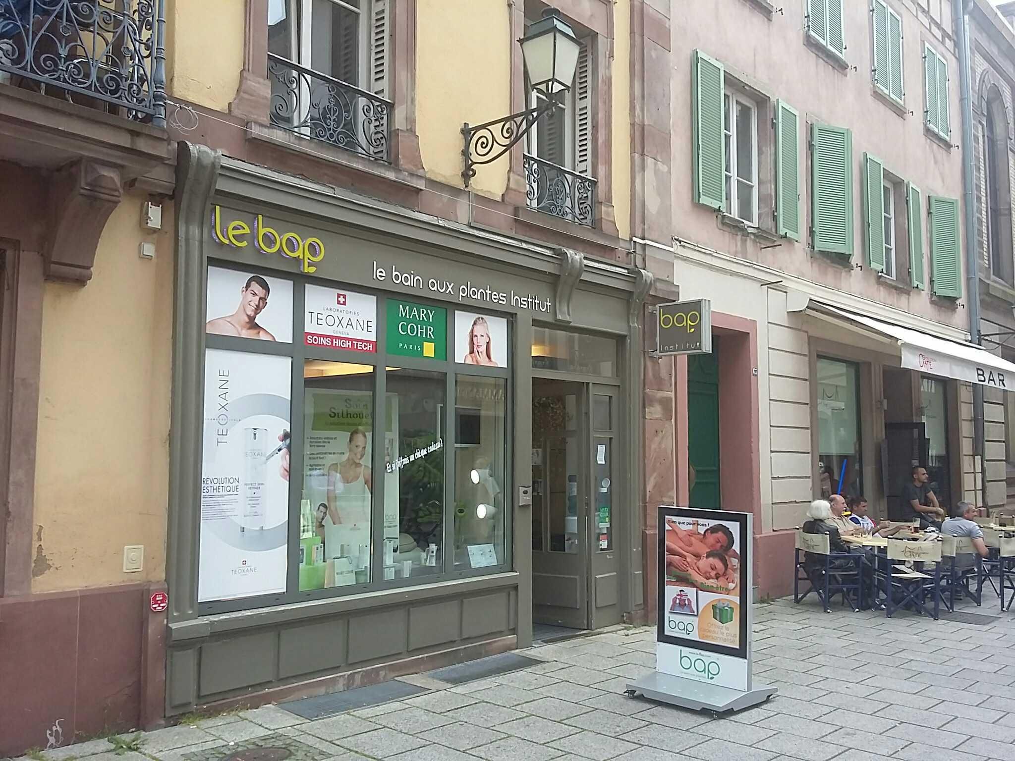 olivenbaum ertrag Olivenbaum 7 Jahre  toskanagartenshop