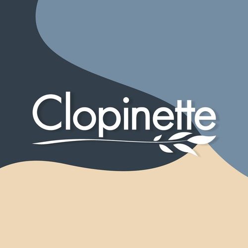 Clopinette - Articles pour vapoteurs, 700 La Pyrnenne, 31670 Labge  (France) - Adresse, Horaire