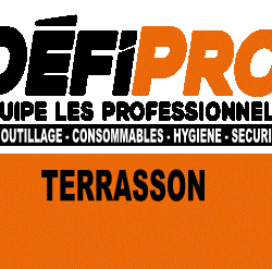 Logo Défipro