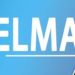 Logo Delmax
