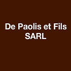 Logo De Paolis Et Fils