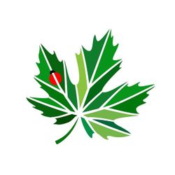 Logo T.Bertrand Espace Verts