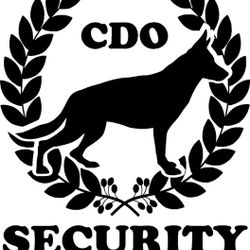 Logo CDO security