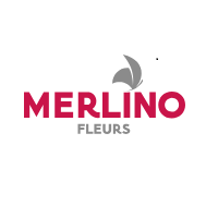 Logo Merlino