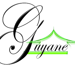Logo SPGRI Service Plus Guyane Relocation Immobilier