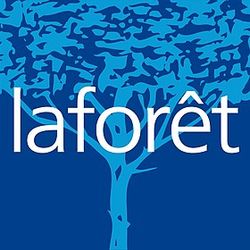 Logo Laforêt Immobilier Agence Triboulet Franchisé Indépendant