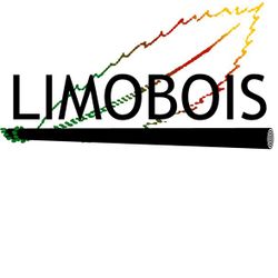 Logo Limobois