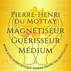 Logo Pierre Henri Du Mottay