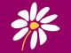 Logo Fleurs Huck