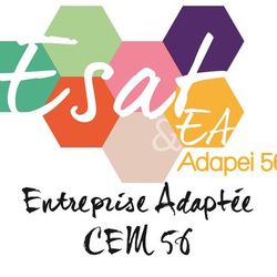 Logo Entreprise Adaptée CEM 56