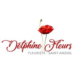 Logo DELPHINE FLEURS