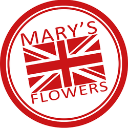 Logo Mary's Fleurs