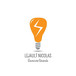 Logo Lejault Nicolas