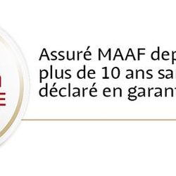 Logo Mallet Père et Fils