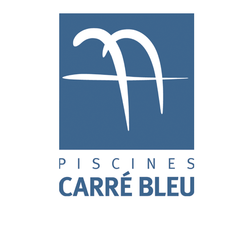 Logo Carré Bleu