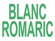 Logo Blanc Romaric