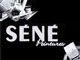 Logo Séné Peintures