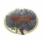 Logo MOULIN A HUILE DU COLORADO DE RUSTREL - SARL SRTPA