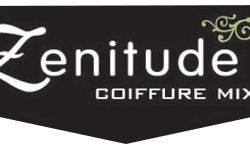 Logo ZENITUDE