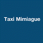 Logo Taxi Communal Belin-Beliet