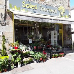 Logo Soleil et Tournesol