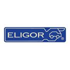 Logo GROUPE ELIGOR