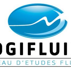 Logo COGIFLUIDE