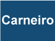 Logo Sas Carneiro