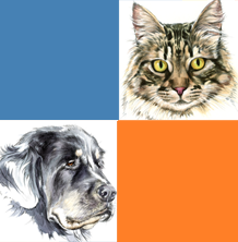 Logo Veterinaire De La Malgrange SELARL