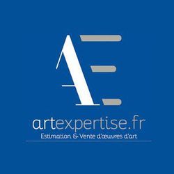 Logo Alexis Maréchal Expert