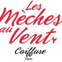 Logo Les Mèches Au Vent
