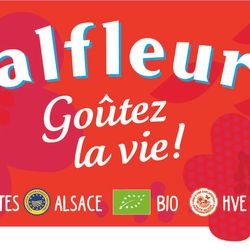 Logo Valfleuri Pâtes Alimentaires