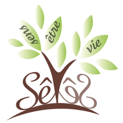Logo Banu Gokoglan