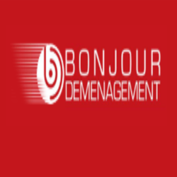 Logo Bonjour Demenagement