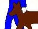 Logo Allo Dressage Service