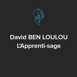 Logo David Ben Loulou