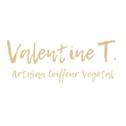 Logo Valentine T.