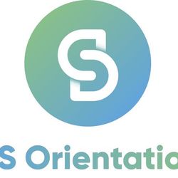 Logo DS ORIENTATION